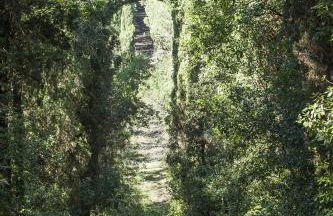 Agriturismo La Presura - Foto 128