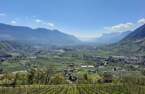 Unterötzbauerhof - Fewo Rosenblick - Foto 7