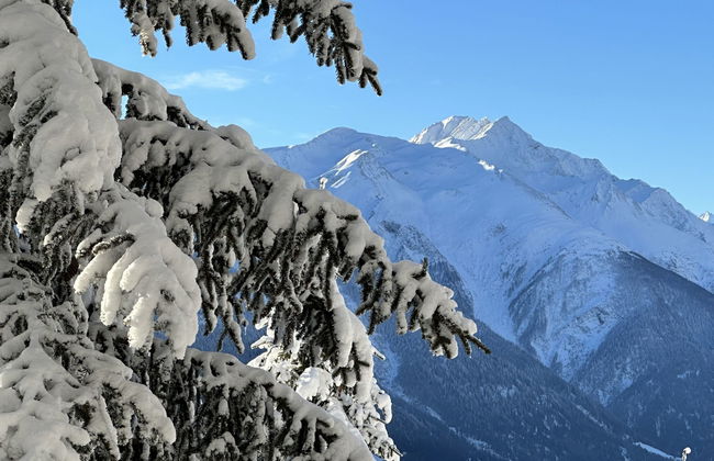 Chalet Soldanella (BEL205) - Foto 27