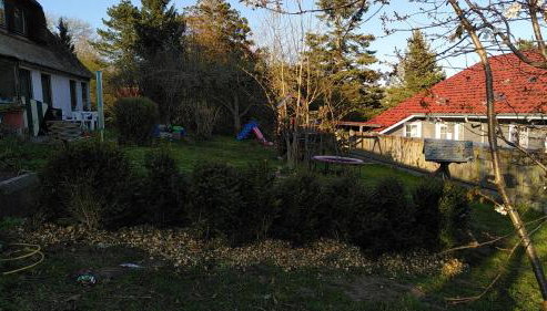 Ferienwohnungen im Reetdachhaus - Foto 4, Garden