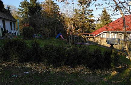 Ferienwohnungen im Reetdachhaus - Foto 4