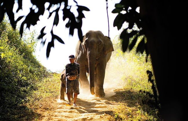 Hueanphae Luang Prabang - Foto 17