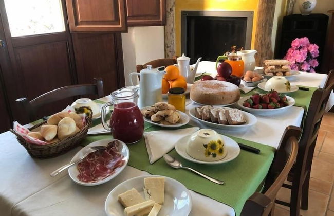 Sa Tanchitta - Foto 16