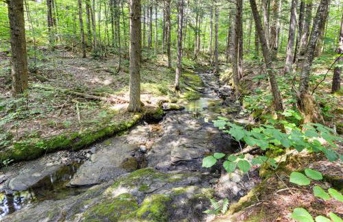 6 Mi to Mt Snow Nature-View Home with Fire Pit! - Foto 35