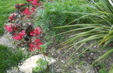 Almira Kalamos - Foto 11