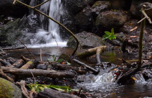 Casa Jonay - Foto 44