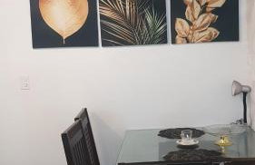 acomodação lírio do Vale - Foto 3