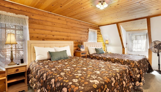 BIG Bear Haven #2343 - Foto 5, Habitación