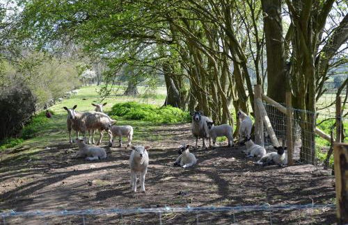 Luxury Old Stone Cottage, Beautifully Presented - Photo 35