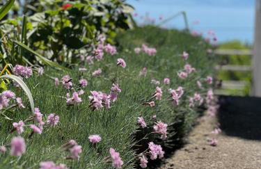 Apartments Mandić - More - Foto 14