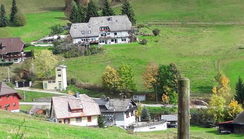 Drei Tannen - Foto 3