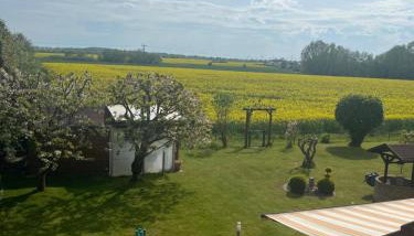 Schöner Blick - Foto 2, Garden view