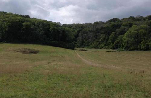 Hut - Sleeps 2 - Petworth House 10 minutes - Foto 11