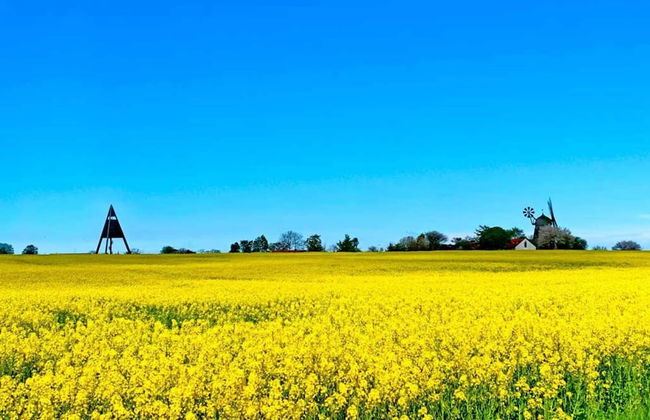 4 Person Holiday Home in Svaneke - Foto 1