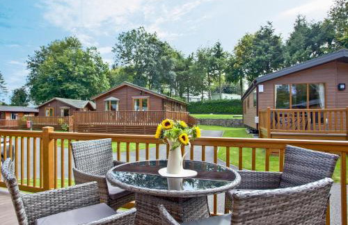 Forest Glade Lodge - Foto 16