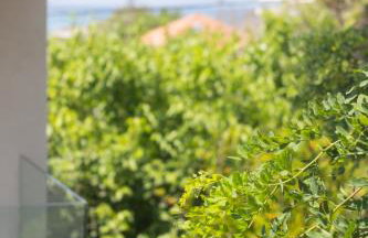 Balance Suite - Foto 10