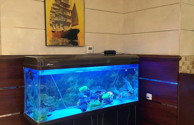 Al Muhanna Plaza Hotel - Photo 42