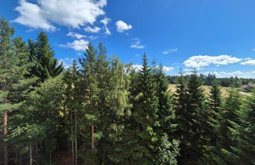 FeWo Schwarzwald von oben - Kniebis - Foto 15