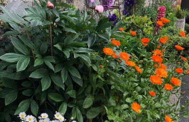 Bramley House-5 Star-located on the Dublin-Belfast corridor - Foto 35