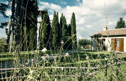 Borgo di Pietrafitta Relais - Foto 26