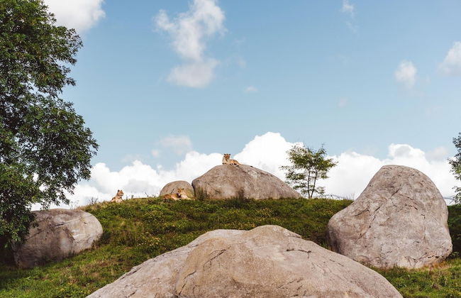 Well Furnished Mobile Home with Microwave near Water - Photo 39