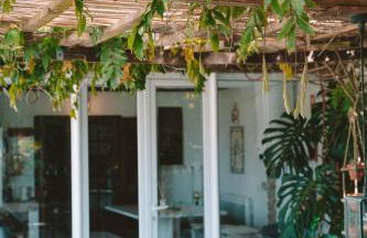 João Jungle - Foto 63