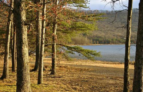 Family Cabin on 6 Acres with Lake Access and Hot Tub! - Foto 35