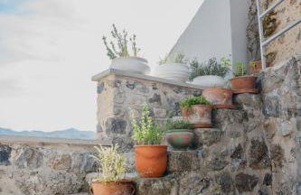 Domus Polymnia, hospitality at its best! - Foto 53