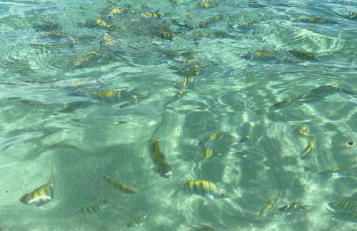 Casa Pé na Areia - Foto 11