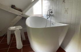 Siedlisko Blanki - Foto 42