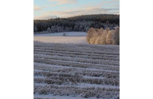 Ole Schün Dannau - Foto 41