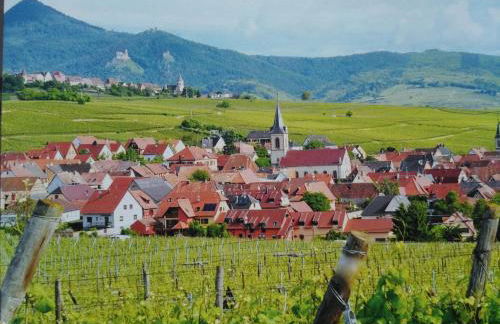 Gîtes Marschall Jean-Pierre - Foto 33