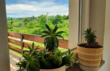 House Anita - Foto 21