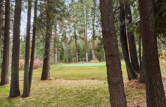 Brockway Splendor - Foto 23