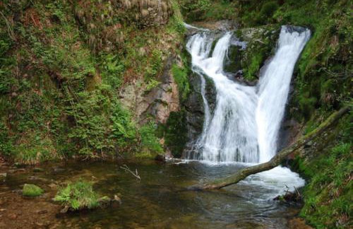 Ferienwohnung Huber - Photo 4