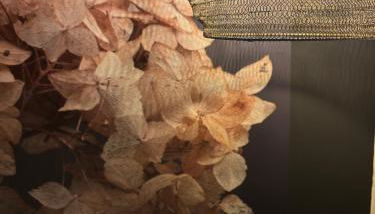 LUZZ me - Casa das Doze Ribeiras - Photo 1