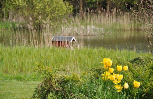 Albertsdorf Goldblick - Foto 21