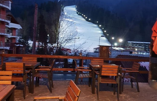 Pensiunea Elemar - Foto 29