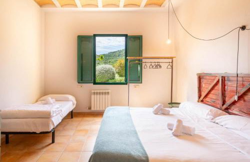 Mas Tortós - Foto 14