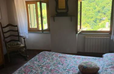 Alloggio nel Parco Alpi Apuane - Carnevale di Viareggio - Foto 3