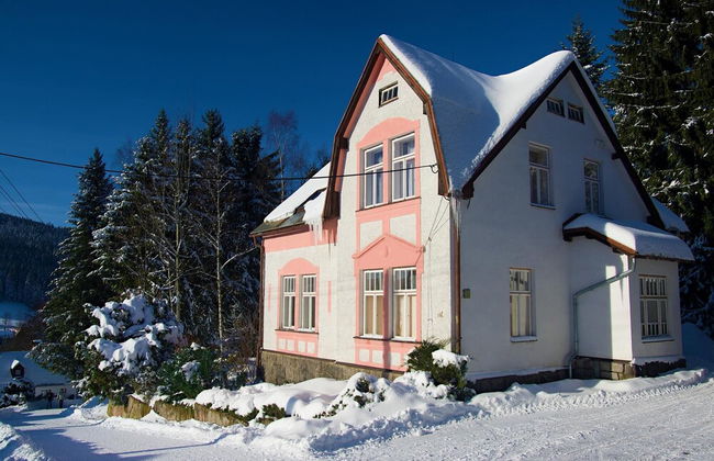 Albrechtice Lat085 in Albrechtice v Jizersk ch hor ch - Photo 18