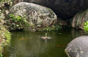 Casa Alto Luxo Teresópolis - Photo 33