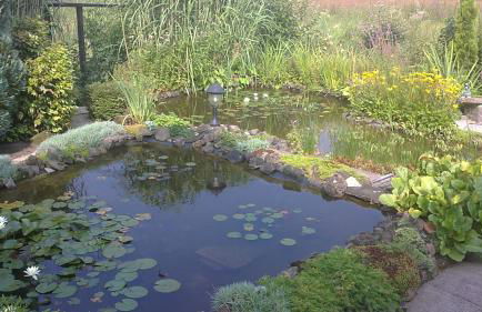 Ferienhaus am Ternscher See - Foto 28