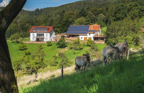 Grünewaldhof in Rimbach im Odenwald - Foto 3