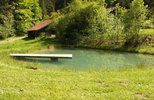 Holiday Home Quellenhof Kollnburg by Interhome - Foto 6