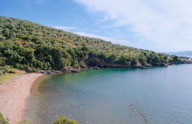 John s House - Chorto Pelion - Foto 40