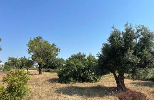 Quinta Castor - Foto 72
