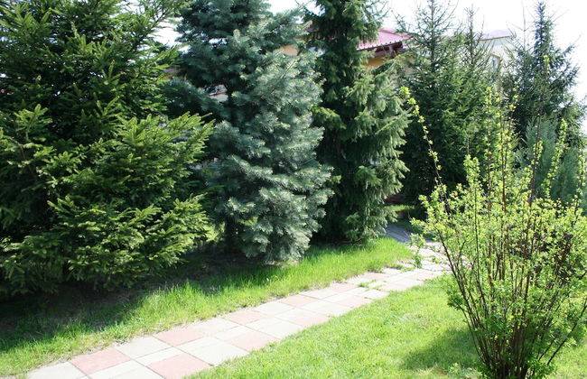 Apartamenty Komfort - Foto 30