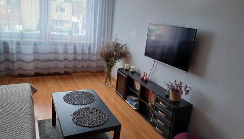 Apartament Żuławy, na wyłączność - Foto 3