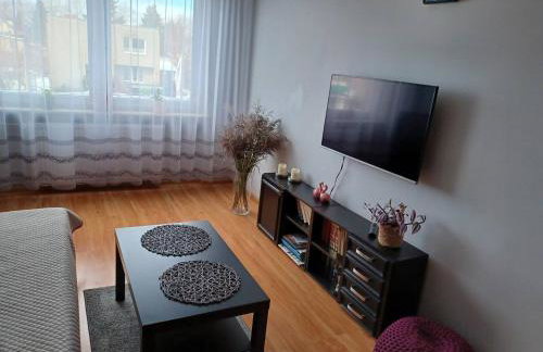 Apartament Żuławy, na wyłączność - Foto 3